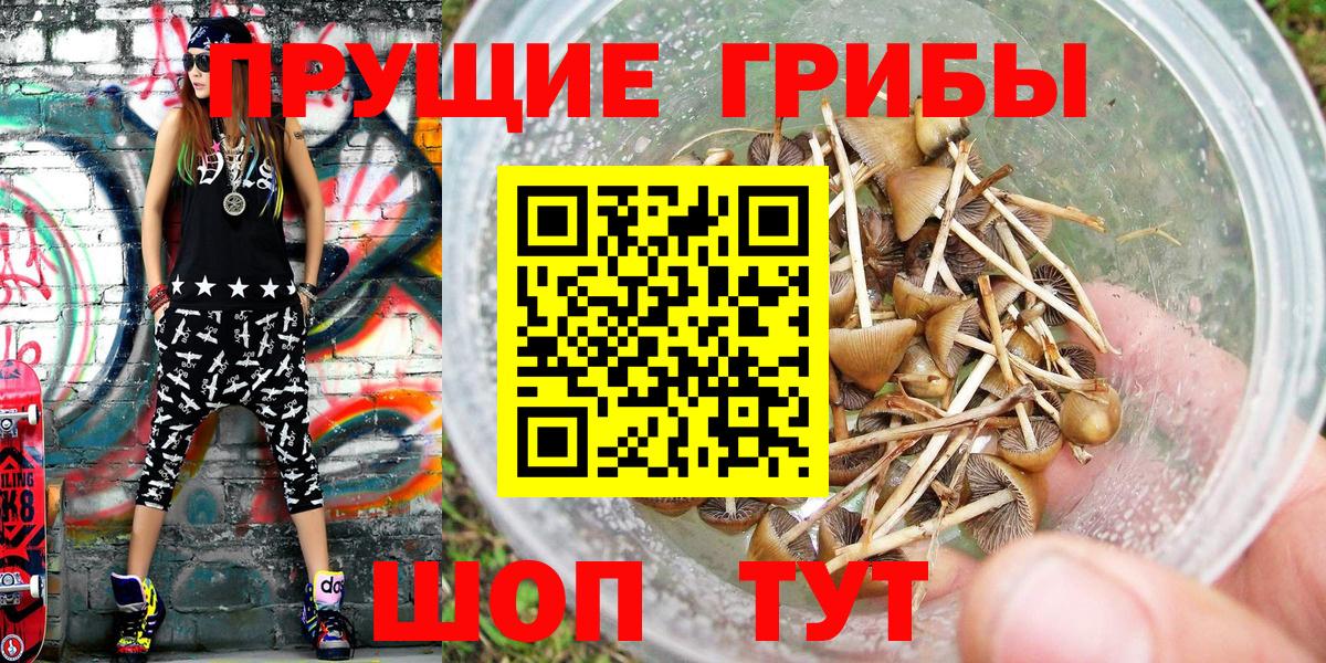 Тельмана  Галлюциногенные грибы Cubensis  Галлюциногенные грибы Psilocybine cubensis  Вход с VPN 